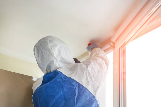 Johnstown, OH Mold Removal Company